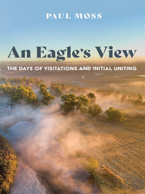 cover image of An Eagle's View